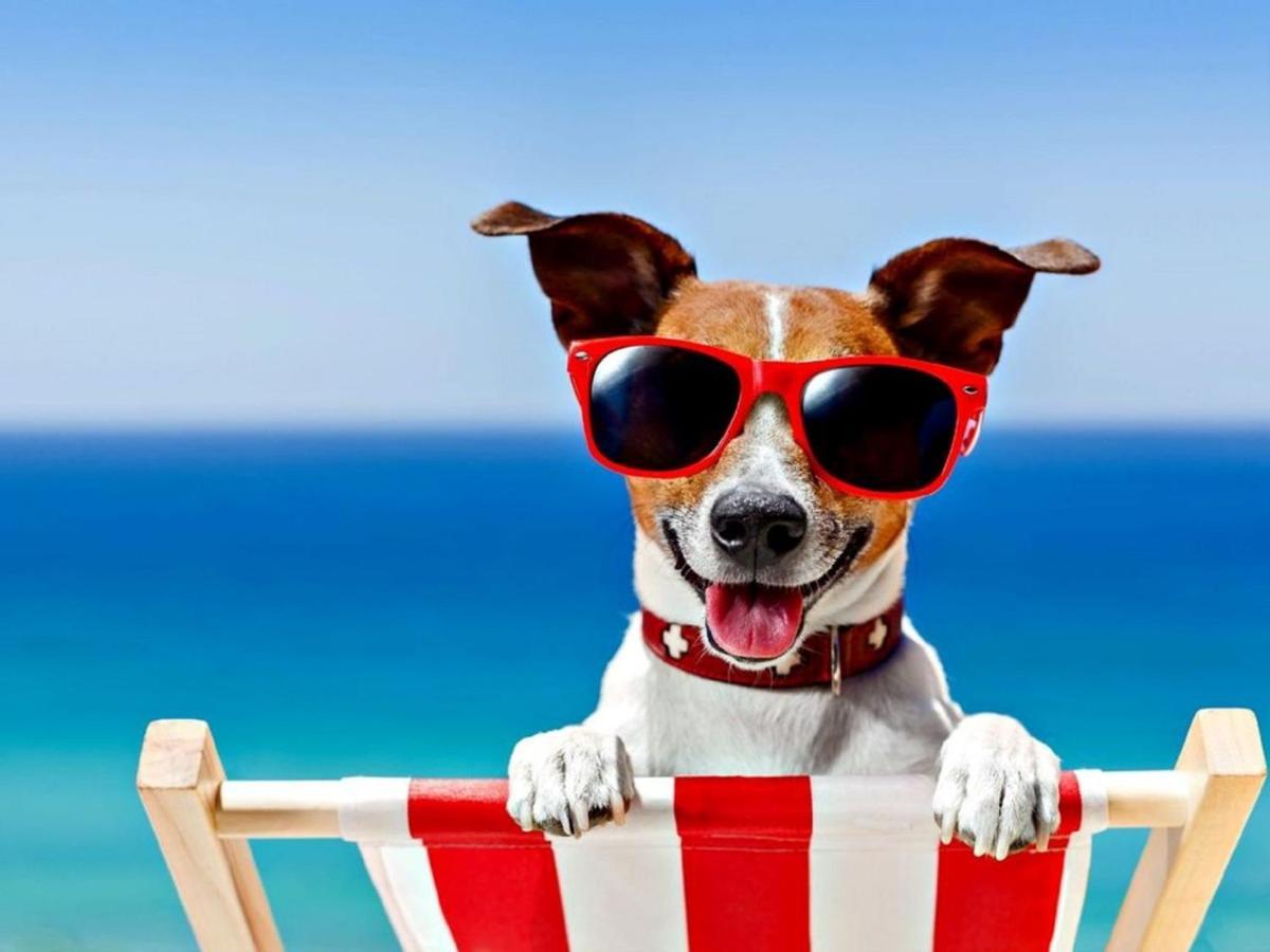 Fabulous 2 Bedroom Dog Friendly Chalet 5 Min Walk To Beach, Nr Gt Yarmouth & Norfolk Broads Scratby Екстер'єр фото